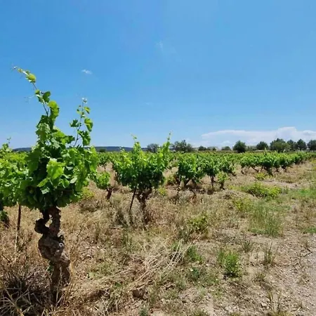 In France With View And Private Pool * Homps (Aude)